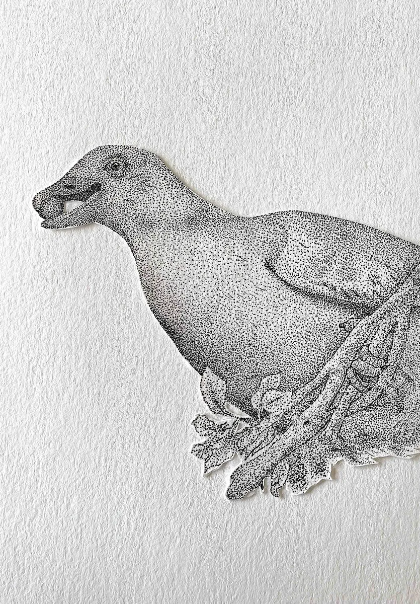 An emerald dove with open beak, head and breast worked in stippled ink