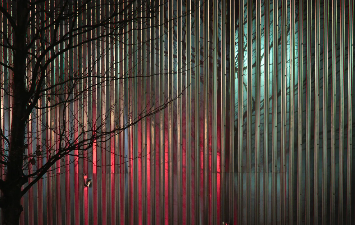 Bare tree branches silhouetted against a slatted wall washed in red and teal light at night.