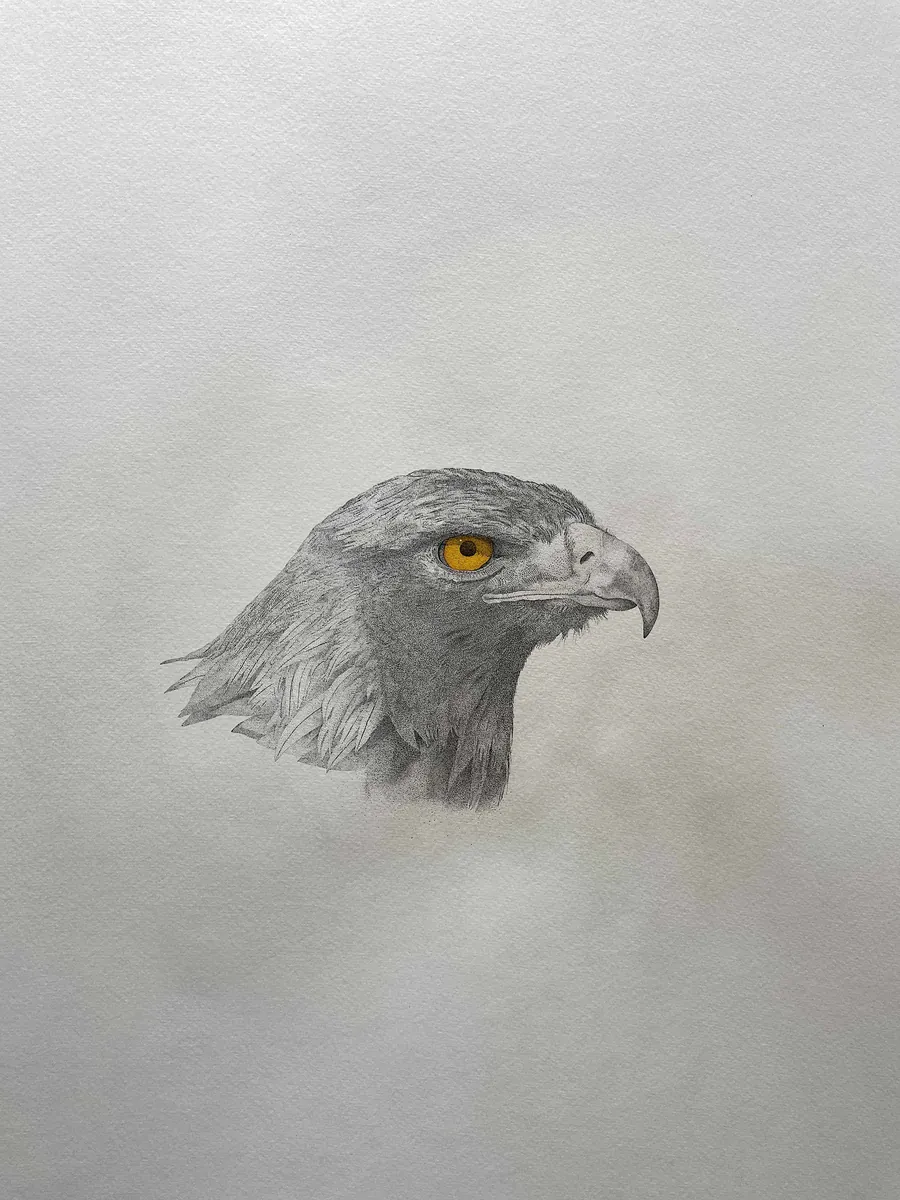 A near-finished stage of the Golden Eagle stippling