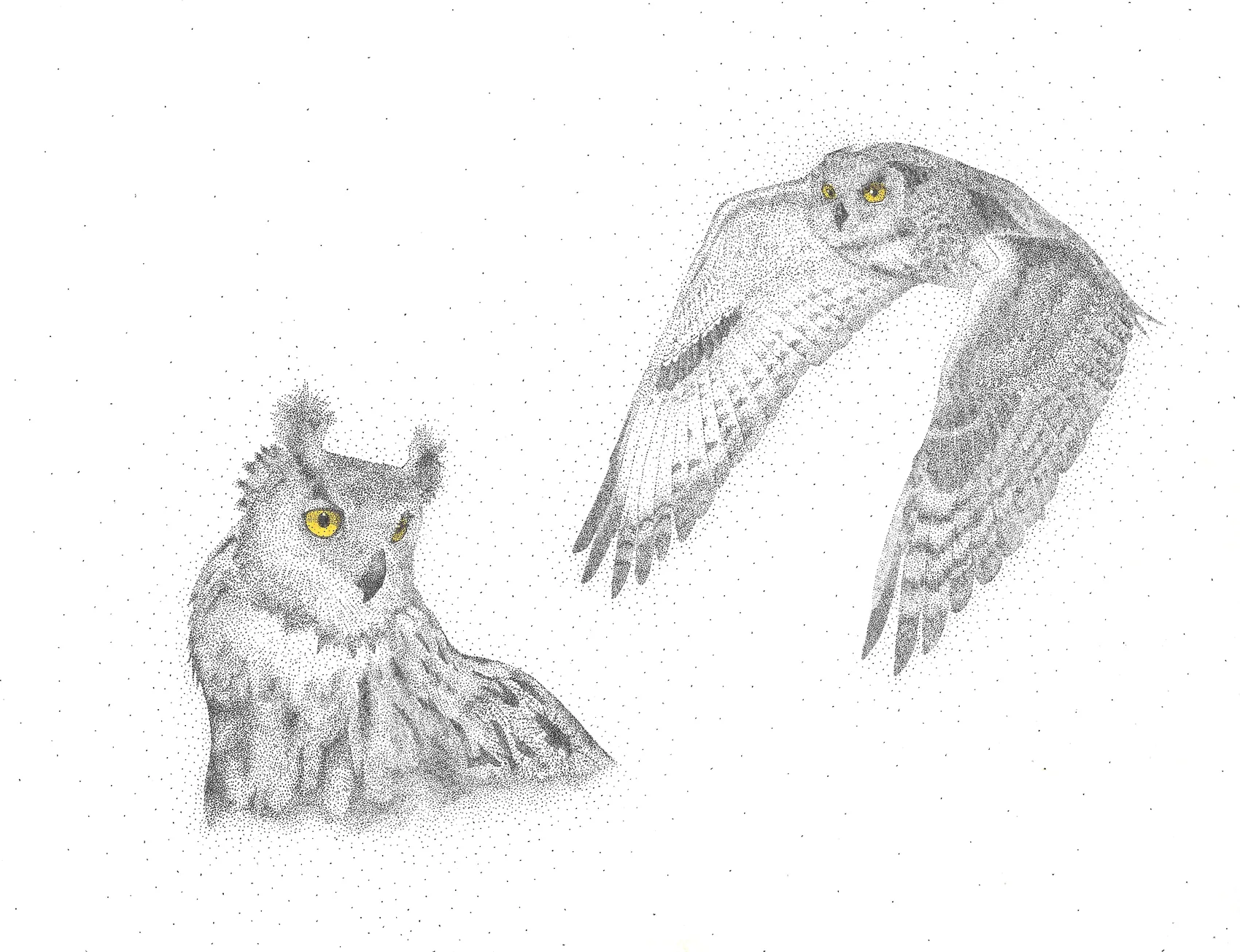 Two owls in stippled ink&nbsp;&mdash; one perched with ear tufts, one in flight, both with bright yellow eyes.