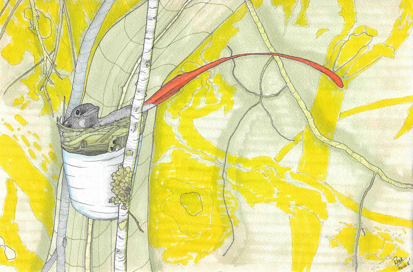 A frogmouth resting in a white nest cup on a birch trunk, a red leaf arcing across a bright yellow ground.