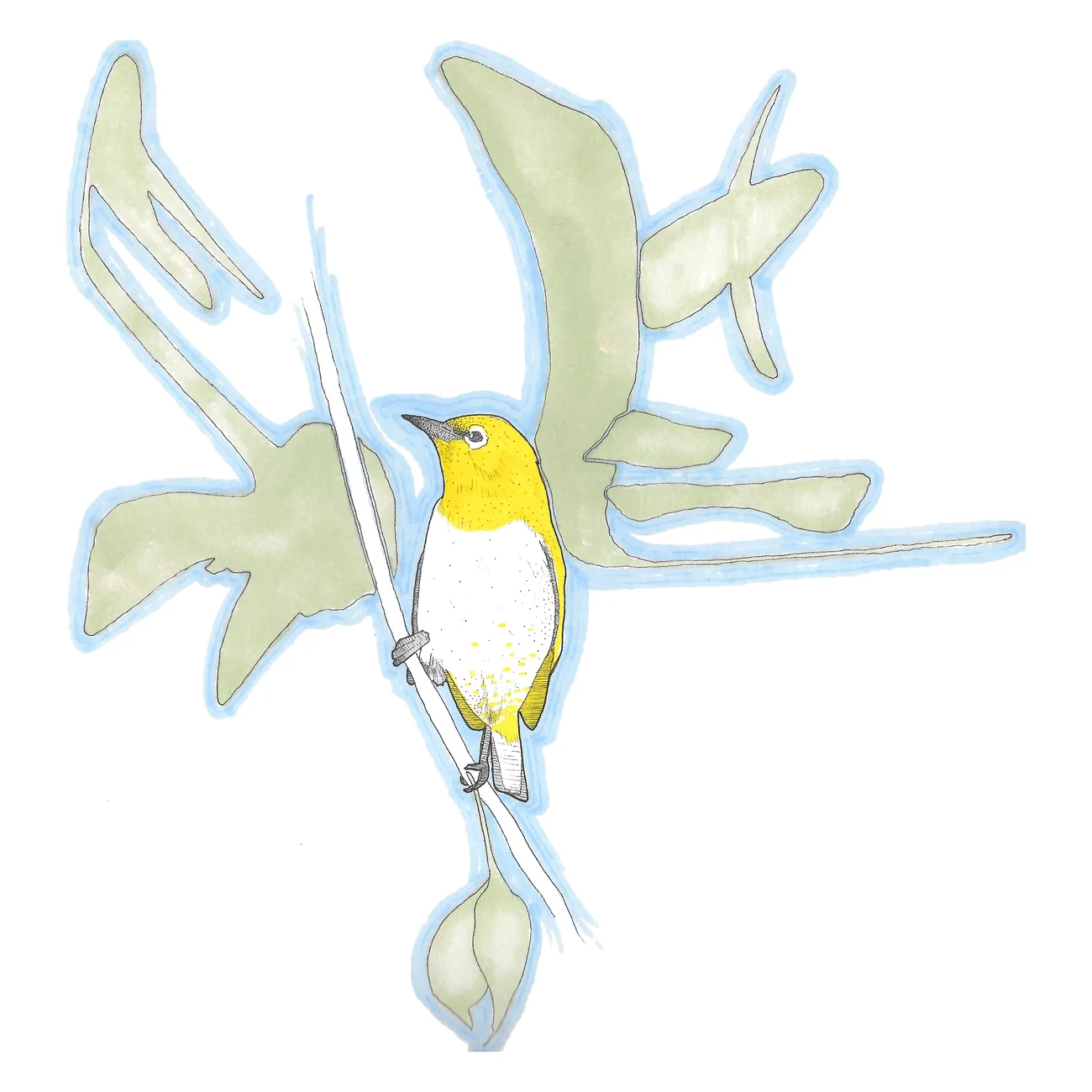 An oriental white-eye&nbsp;&mdash; a small yellow bird with a white eye-ring&nbsp;&mdash; perched among green leaves.