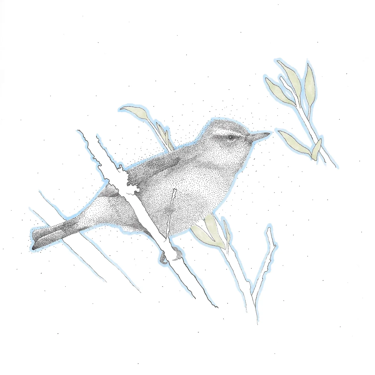 A small bird perched on a twig with leaves, outlined in blue and green.