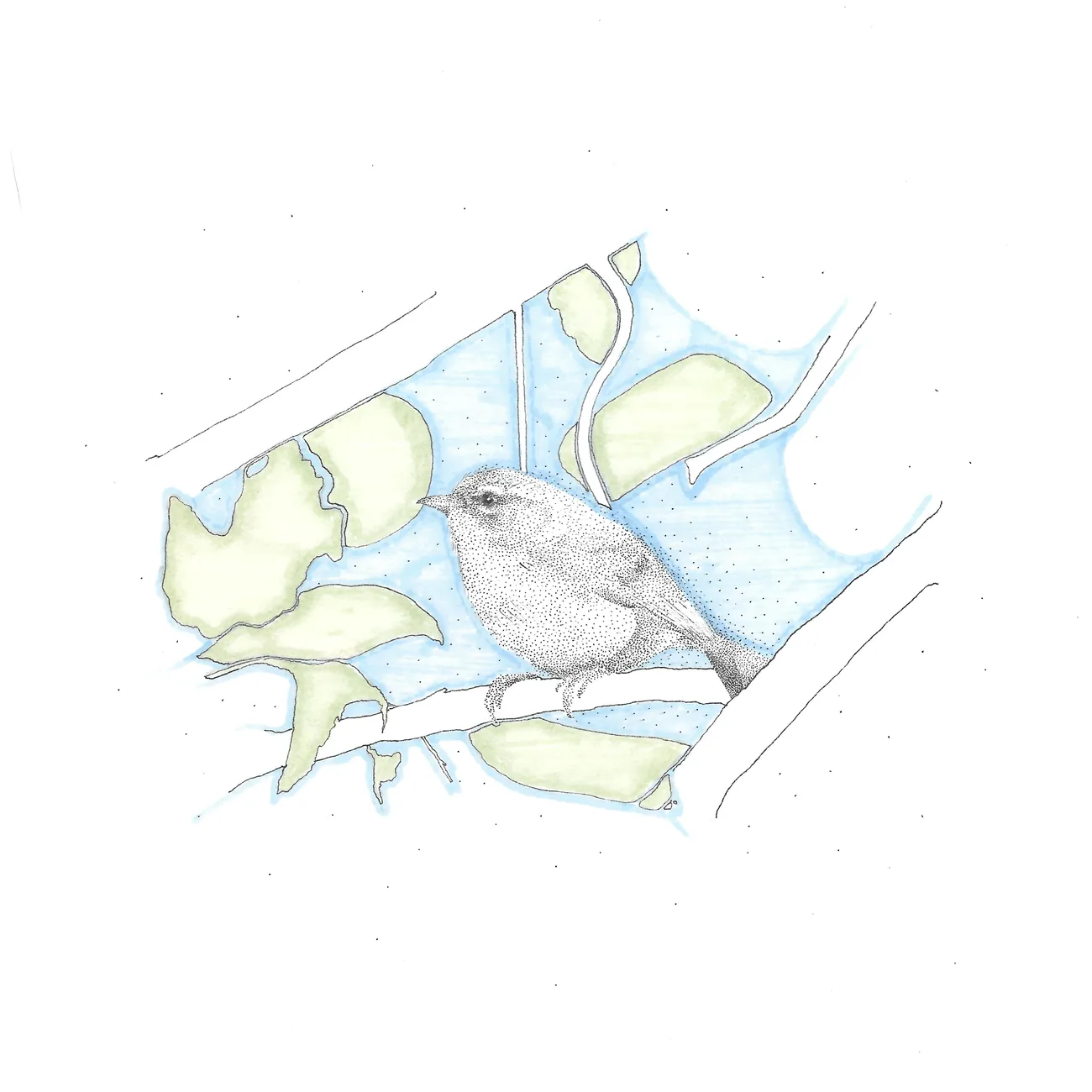 A wren among leaves, outlined in blue with green foliage.
