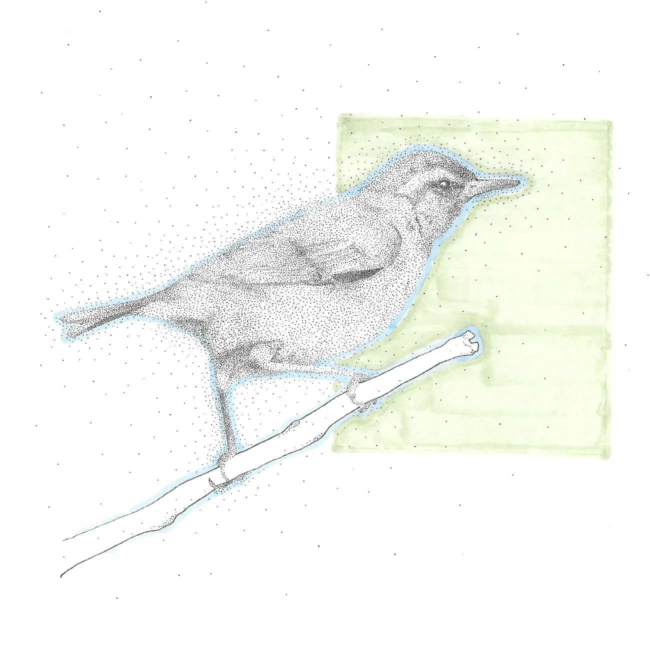 A bird on a branch against a soft green ground, outlined in blue.