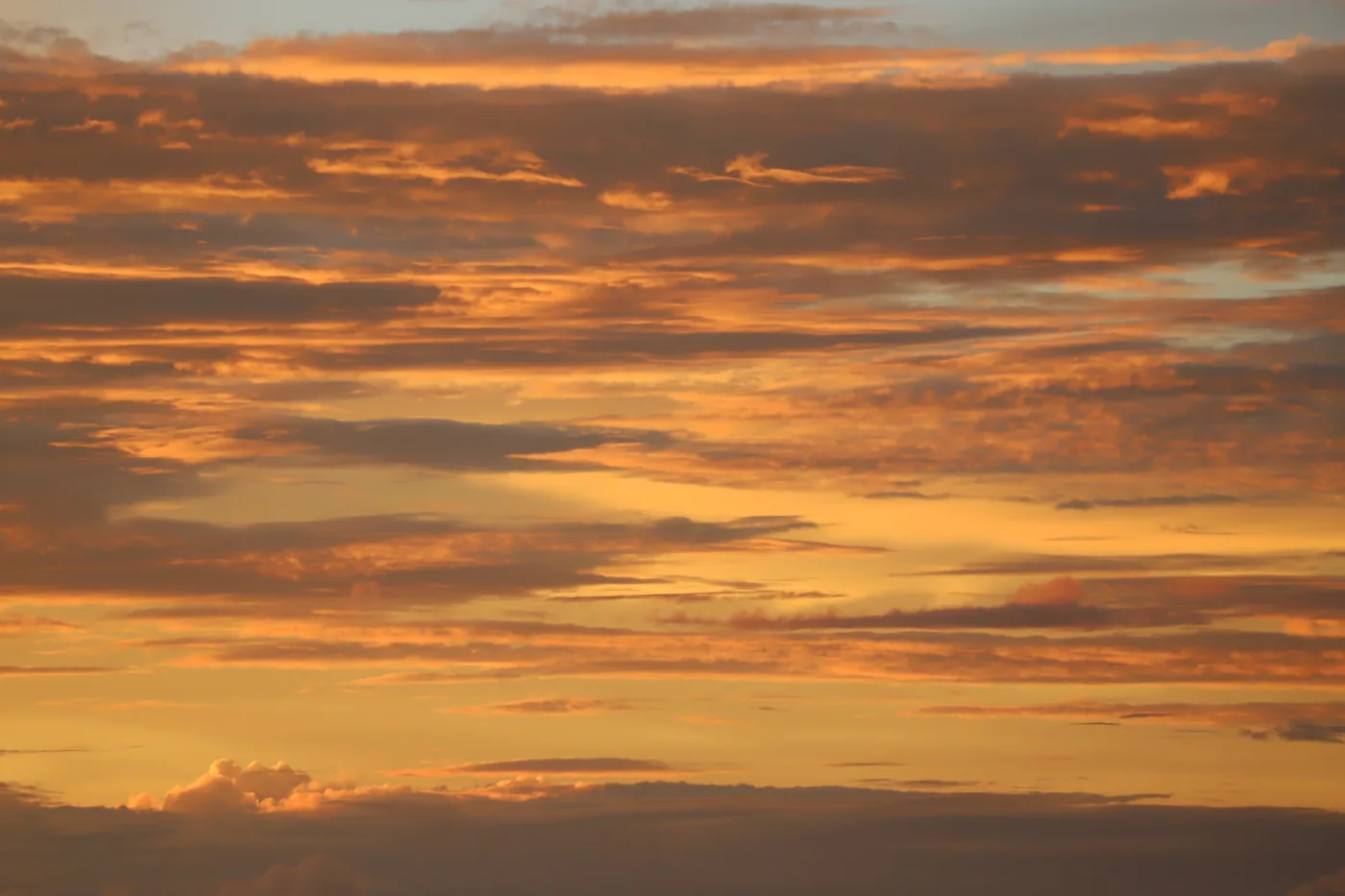 A sky filled with rippled clouds burning orange and gold at sunset.