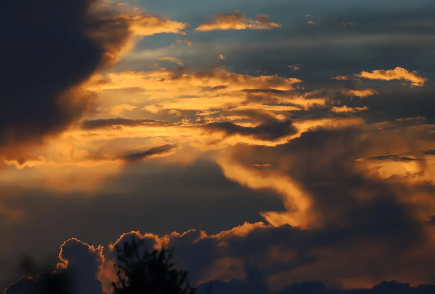 Swirling clouds lit gold by the setting sun above a dark fringe of trees.