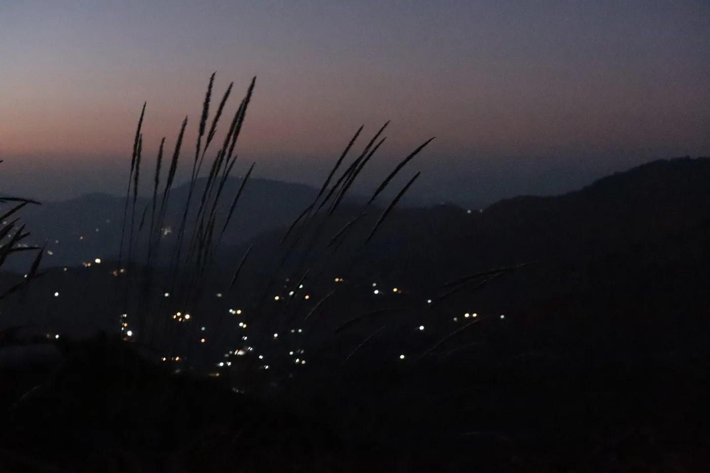 Blades of grass against a violet dusk, with village lights scattered across the valley below.