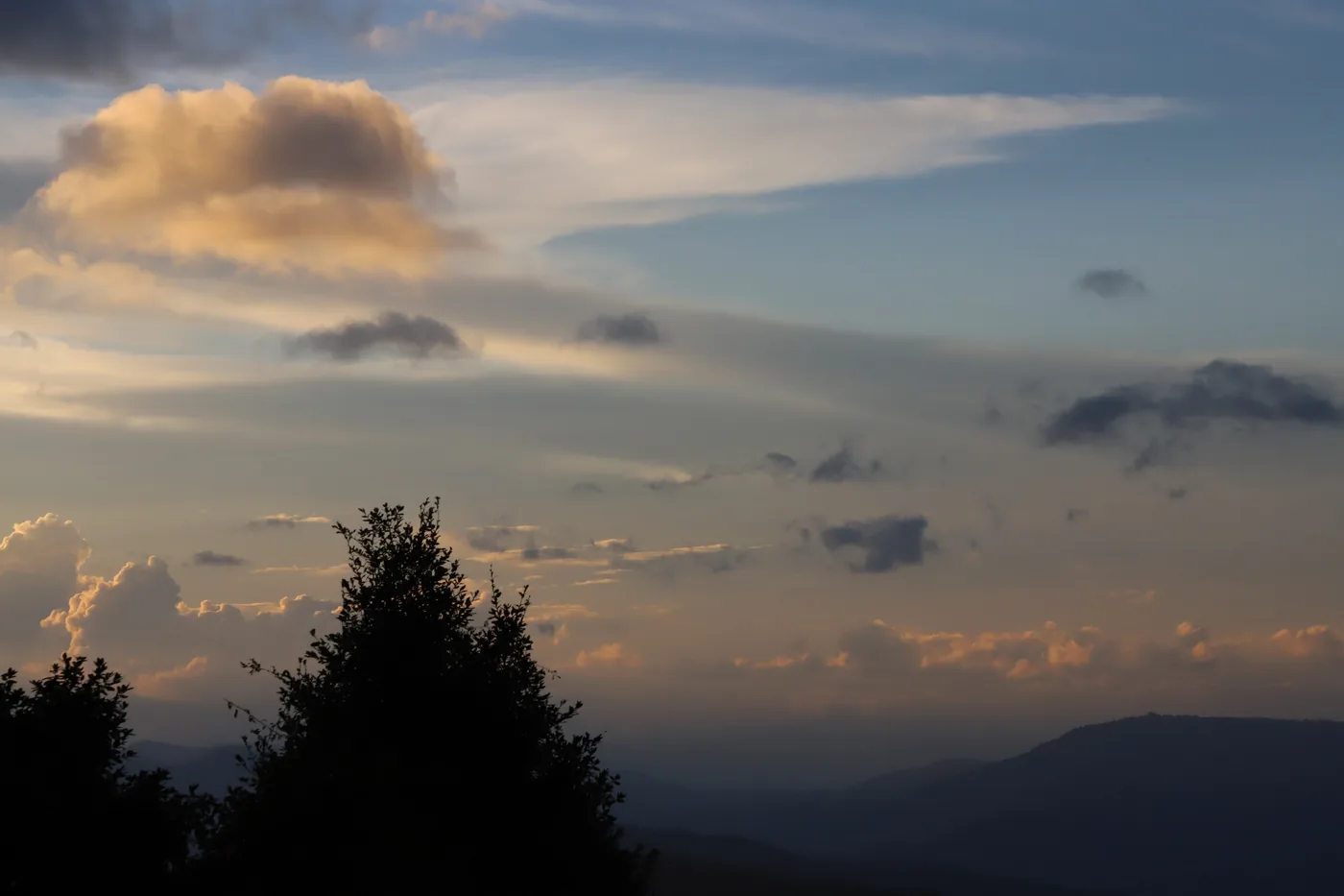 Evening clouds catching warm light above a silhouetted tree and a distant ridgeline.