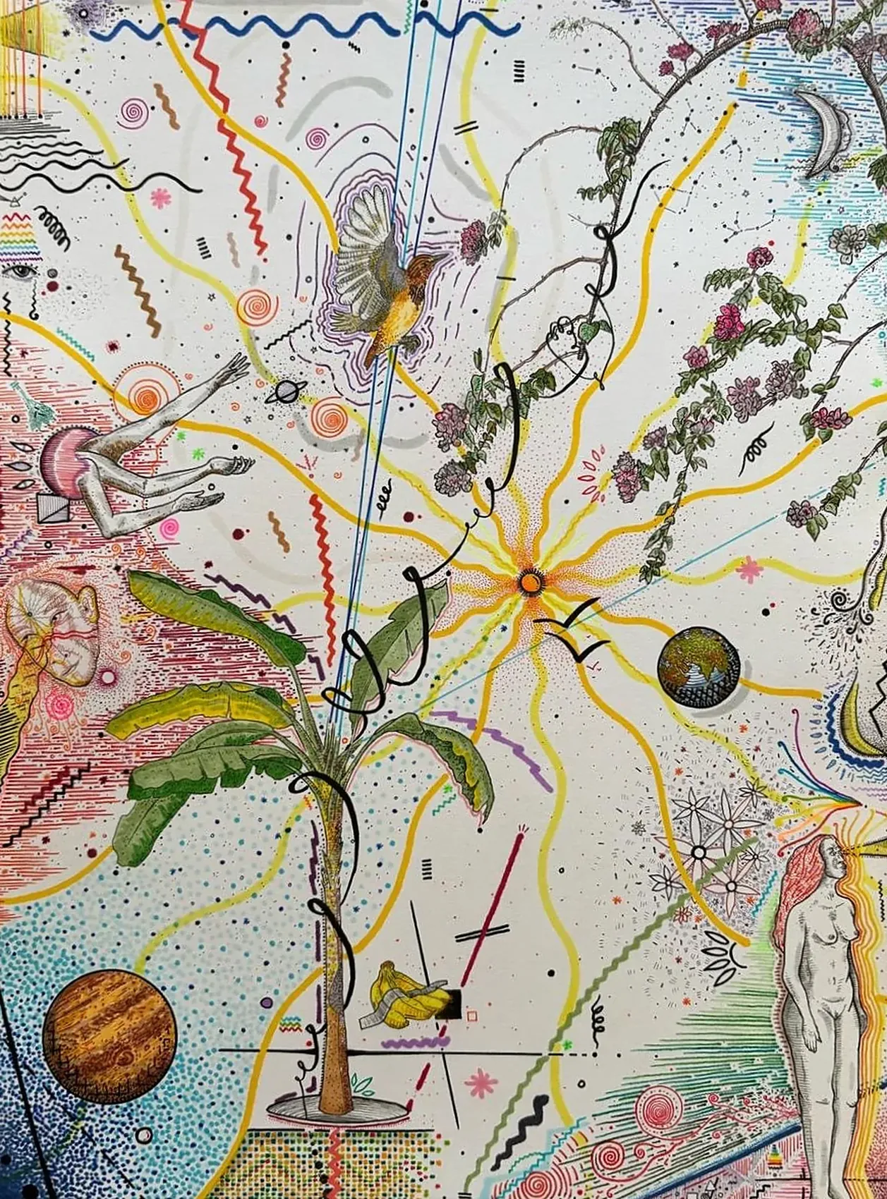 Curiosity for the infinite&nbsp;&mdash; a drawing of a banana tree, a radiant star, a planet, a robin and a standing figure observing.