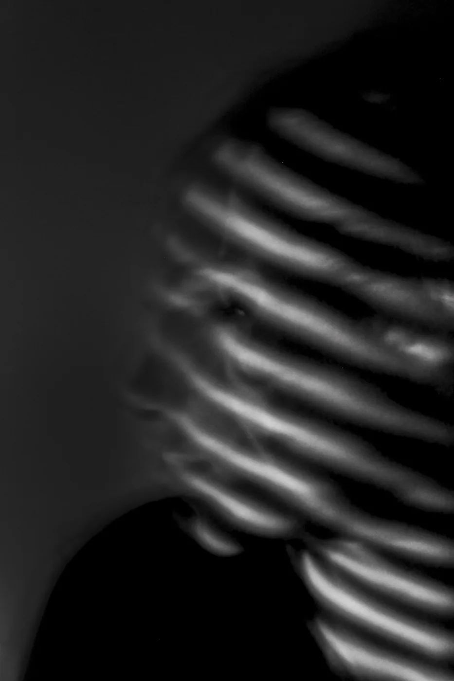 An abstract close-up of softly lit ridges curving through deep shadow.