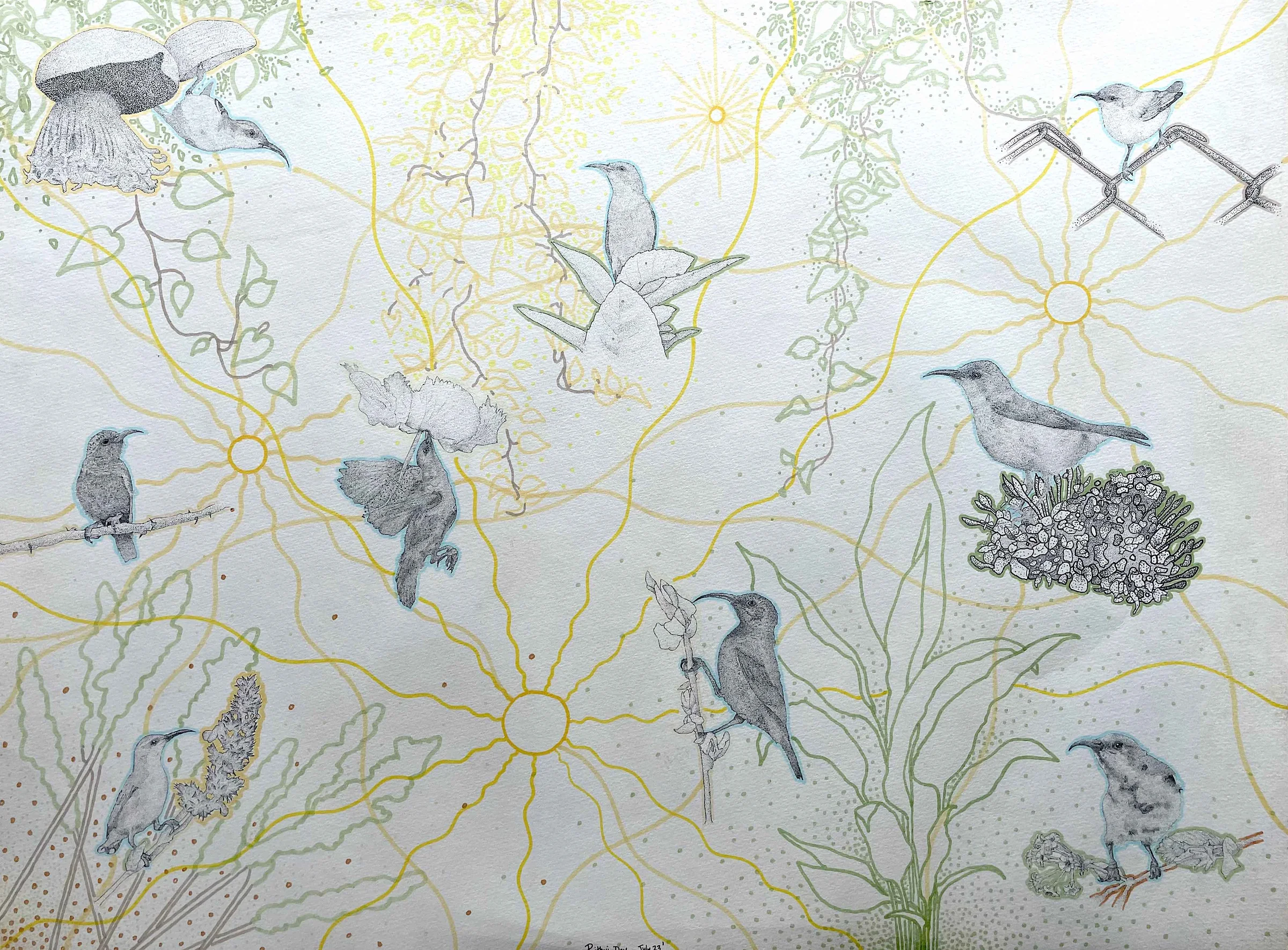 Purple Sunbirds&nbsp;&mdash; a wide stippled pen-and-ink composition of purple sunbirds, male and female, at flowers and foliage across a pale ground laced with radiating sun and vine motifs in soft colour.