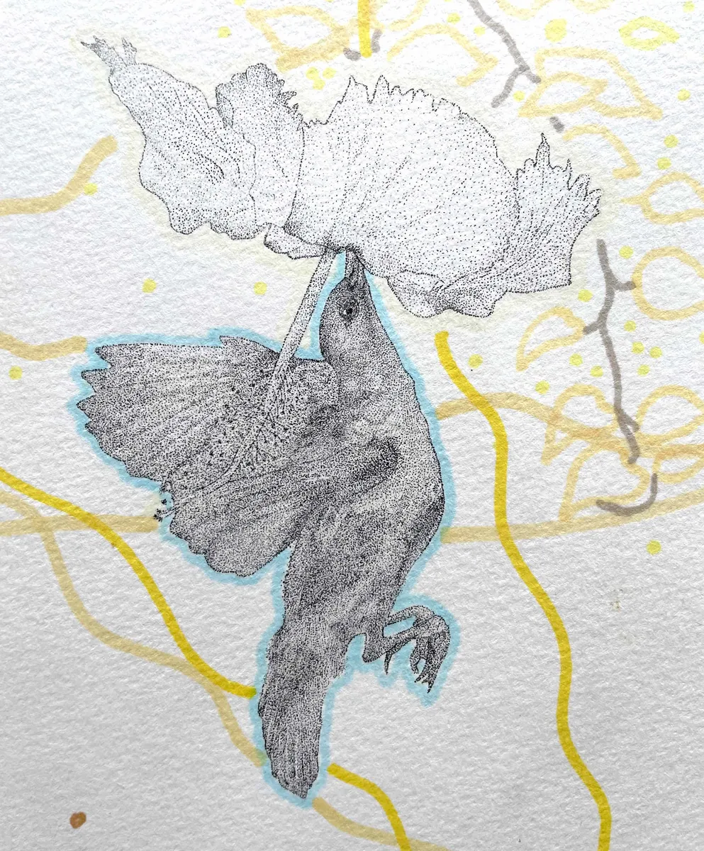 A purple sunbird reaching up to feed at a hanging blossom