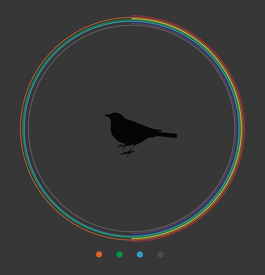 Diagram on a dark grey ground: a perched bird silhouette ringed by four bands, with four dots below including grey for ultraviolet.