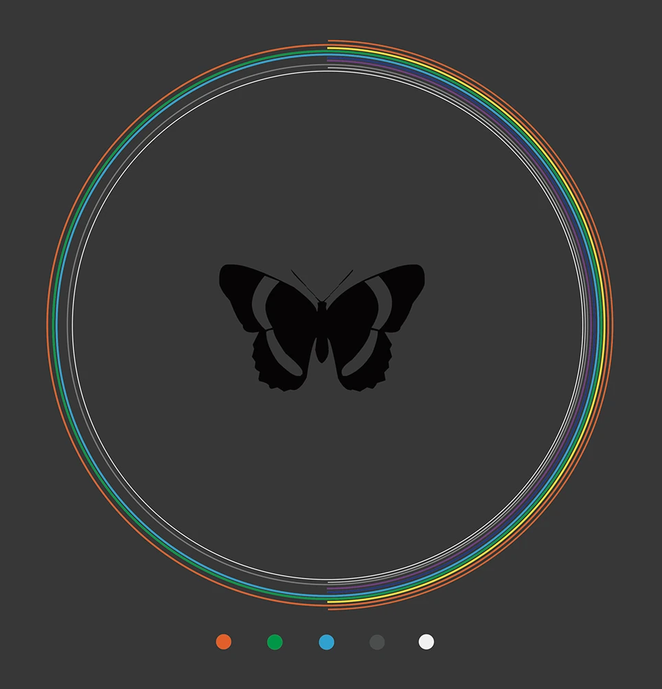 Diagram on a dark grey ground: a butterfly silhouette ringed by five bands, with five dots below including grey and white.